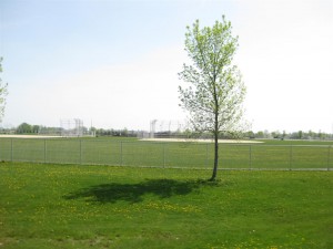 Kickers.Baseball.fields.1